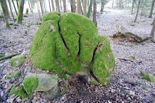 Bild som föreställer en sten med mossa, jättestenen i Tånnö