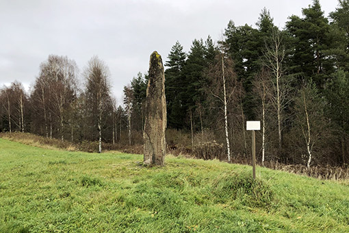 Bild på en runsten med skog i bakgrunden