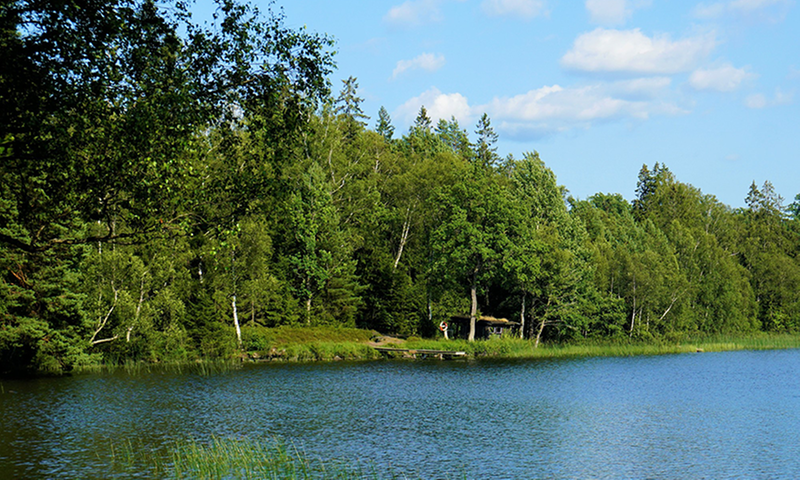 Nu Vattnar Vi Med Dagvatten - Värnamo Kommun